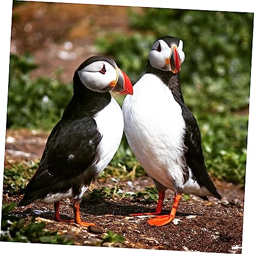 100pcs Pigeon Foot Rings Durable Leg Bands for Racing Pigeons Parakeets and Other Birds Bright Colors for Easy Identification - color: Red