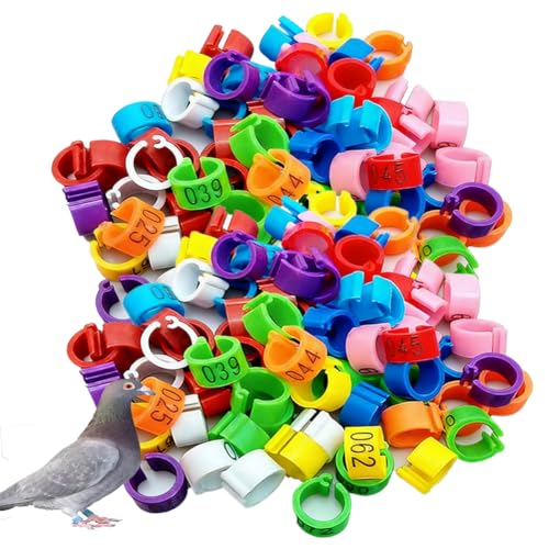 100pcs Foot Bands - 8/10/12mm Poultry Leg Straps, 10 Colors, No. 001-500 Poultry Leg Straps for Chicken, Duck, Pigeon 8mm (0.31in) 001-100 - color: 8mm (0.31in)001-100