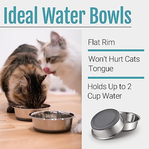 PEGGY11 Nonslip Stainless Steel Dog Cat Bowls, 2 US Cup, 2 Count | No slide silicone bottom, Dishwasher safe, Easy to clean, Stackable design - size: 2 Cup