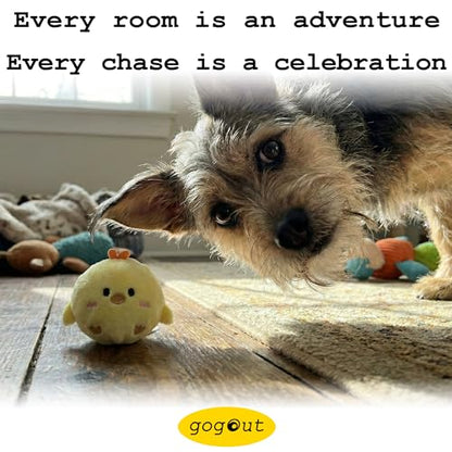 Mini Fluffy Squeaky Pet Ball for Small Dogs and Cats, 2-Inch Soft Plush Indoor Toy Ball, Gentle Interactive Play, 1 Pack Chick - color: Chick