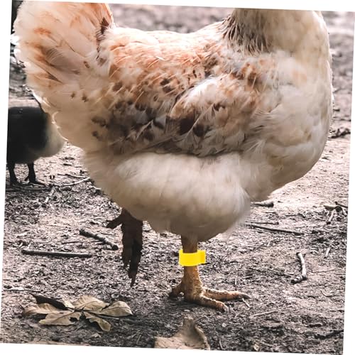 100Pcs Adjustable Chicken Leg Bands Open-Style Clips for Poultry Identification Colorful Marking Rings for Ducks Geese and Gamefowl Color
