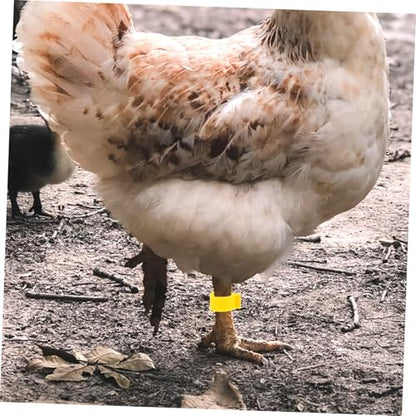 100Pcs Adjustable Chicken Leg Bands Open-Style Clips for Poultry Identification Colorful Marking Rings for Ducks Geese and Gamefowl Color