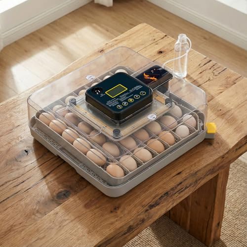 48H Pro 48-Egg Incubator, Fully Automatic Egg Turner with LED Candler & Auto Temperature Humidity Control, Digital Fahrenheit Display, Clear Lid for Hatching Chicken, Duck, Quail Eggs - 110V