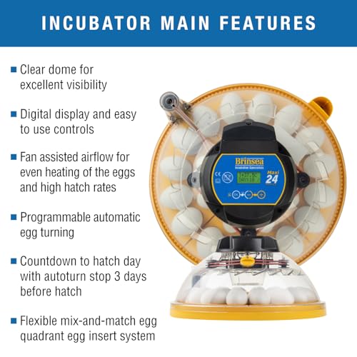 Brinsea Maxi 24 Advance Egg Incubator Classroom Kit Brooder Pack for Students with Lesson Plan, Egg Scope, EcoGlow Brooder, Plastic Chick Enclosure, Feeder and Drinker for Hatching Chicks, Ducklings - size: Classroom Kit, 24 Eggs