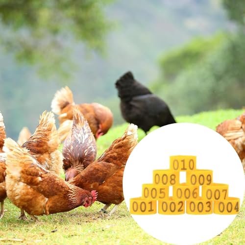Poultry Leg Bands, 6 Colors 100PCS/Bag 16MM 001-100 Numbered Plastic Poultry Chickens Ducks Goose Leg Bands Rings for Chickens Gamefowl Turkey Duck Goose(Yellow) - color: Yellow