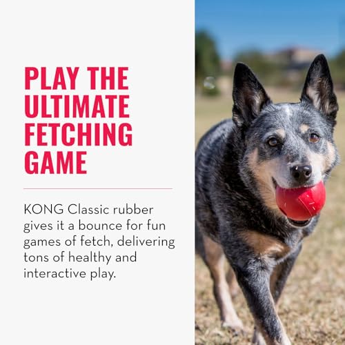 KONG Ball with Hole - Durable Dog Fetch Toy for Training, Interactive Playtime & More - Classic Natural Rubber Ball - Red - for Large/Medium Dogs (Pack of 2) - size: Medium/Large (Pack of 2)