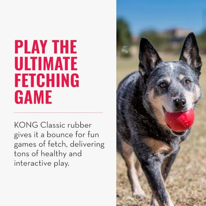 KONG Ball with Hole - Durable Dog Fetch Toy for Training, Interactive Playtime & More - Classic Natural Rubber Ball - Red - for Large/Medium Dogs (Pack of 2) - size: Medium/Large (Pack of 2)