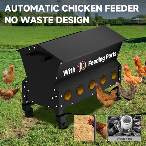 Portable Metal Chicken Feeder with Waterproof Lid, Freestanding Chicken Feeding Box with 150 lbs Large Capacity for Chickens, No Waste Gravity Poultry Feeder, 4 Lockable Wheels for Moving.