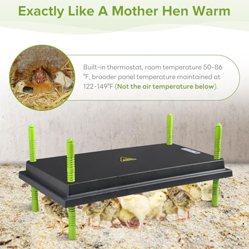 Tetuga Chick Brooder Heating Plate -16 x 22 Inch Chicken Brooder Heater Plate for Chicks with Adjustable Height & Angle - 50W Safer Than Brooder Lamp Warms Up to 50 Chicks - size: 16x22 Inch
