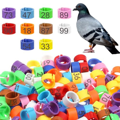 100 Pcs 8mm Birds Leg Rings, 10 Colors Readable Numbered Quail Pigeons Chick Identification Leg Bands Clip on Leg Rings for Baby Chick Finch Bantam Dove Small Birds