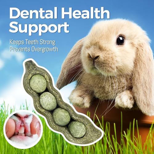 TEEWY Guinea Pig Toys, Prevent Teeth Overgrowth, Natural Vegetables and Timothy Grass, Hamster Chew Toys, Guinea Pig Chew Toys, Chinchilla Toys, 3PCS, Peapod-Shaped - style: 3PCS-Peapods