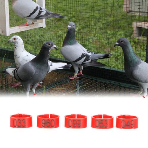 Pigeons Leg Ring, Chicken Leg Bands Poultry Foot Bands Plastic Bird Identify Clip On Ring Markers Identify for Ducks Chicks Chicken Guinea Pigeons Goose Bantam Finch Dove Lovebird Quail 100Pcs - size: 10mm