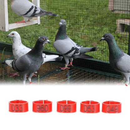 Pigeons Leg Ring, Chicken Leg Bands Poultry Foot Bands Plastic Bird Identify Clip On Ring Markers Identify for Ducks Chicks Chicken Guinea Pigeons Goose Bantam Finch Dove Lovebird Quail 100Pcs - size: 10mm
