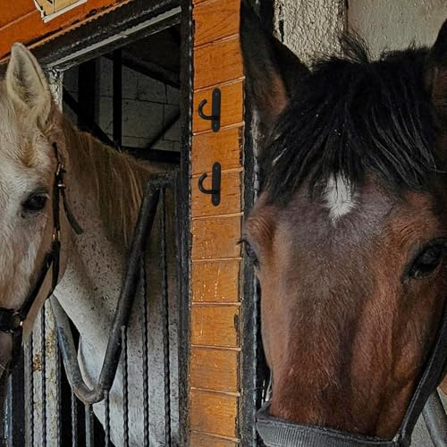 4pcs Compact Dark Stable Feeding Bucket Hangers Wall-Mounted Livestock Bucket Hooks for Horse Stalls and Farm Barn Accessories