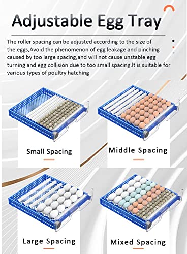 Eggs Incubator for Hatching Eggs, Automatic Egg Turning and Humidity Control, Automatic Water Adding, Egg Candler, Poultry Egg Incubators for Chicken Duck Goose Pigeon Quail (Blue, 192 Eggs) - size: 192 eggs