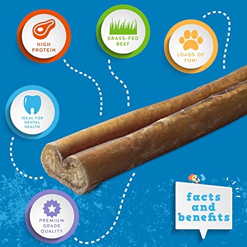 Jack&Pup 12 Inch Bully Sticks for Large Dogs (5 Pack) Thick Odor Free Bully Sticks, Long Lasting Pizzle Sticks for Dogs