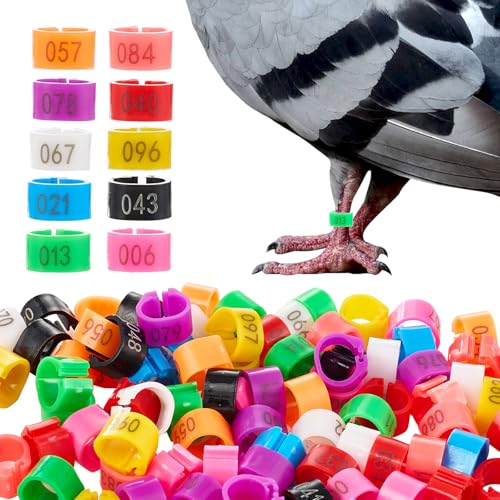 100 Pcs 8mm Bird Pigeons Leg Bands with 10 Colors Colorful Numbered Readable Chicken Identification Leg Bands Notched Ring Design Poultry Leg Bands Clip on Leg Rings for Pigeons Quail Gamefowl - size: 8mm