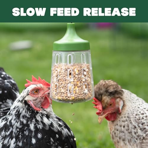 Omlet Pendant Peck Toy | Interactive Slow-Feed Chicken Treat Dispenser | Boredom Busting Enrichment for Hens | Holds About 300g of Feed | Encourages Pecking & Foraging | Available in 2 Designs - style: Pendant