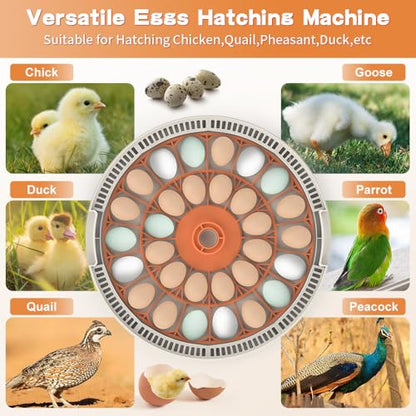 30 Egg Incubator with Automatic Temperature Control, 360° Auto Egg Turning, Humidity Display, LED Candler