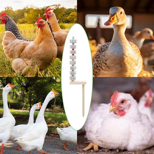 2 Pack Chicken Toys - Chicken Coop Accessories with Calcium Stone & Wood Stake - Enrichment Toys for Hens, Ducks, Geese, Turkeys, Poultry