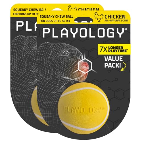 Playology Dog Toys | Squeaky Chew Ball for Dogs, Value 2-Pack | Chicken Scented Medium Dog Balls | Bouncy Floating Chew Toys for Fetch - size: Medium (VALUE 2-Pack), style: Chicken