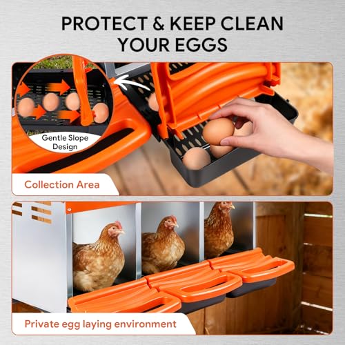 Chicken Nesting Boxes with 3 Cozy and Roll-Away Design - Chicken coop Nesting Boxes,Private Laying Spot & Enables Effortless Egg Collection (Orange)