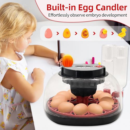 12 Egg Incubator with Humidity Display, Egg Incubator with Automatic Egg Turning and Automatic Water Bottle Refill, Chicken Incubators for Hatching Eggs, Duck Egg Quail Incubator