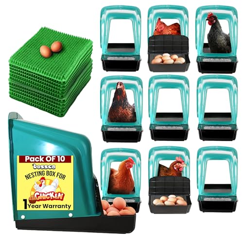Nesting Boxes for Chicken Coop | Roll Away Hen House for Laying Eggs | Durable Plastic Chick Brooder Box with Perch & Pull Out Egg Tray for Poultry Farm | Chicken Coop Accessories (Pack of 10)