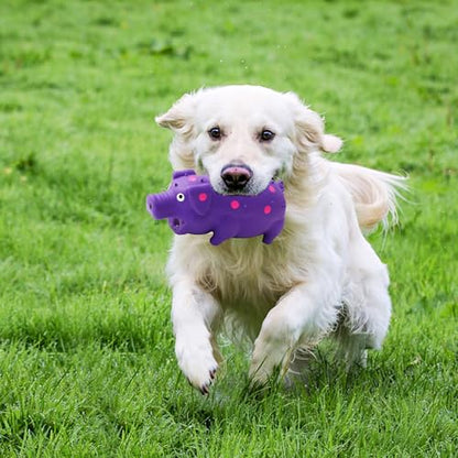 Squeaky Pig Dog Toys, Interactive Durable Latex Rubber that Oink Pig Chew Toy for Medium Large Dogs 2 Pack (Blue+ Purple)