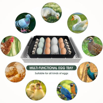12 Egg Incubator - Automatic Egg Turner, Temperature Control, Built-in Candler, Auto Water Refill for Hatching Chicken, Duck, Quail & Bird Eggs - size: 12 --EGGS