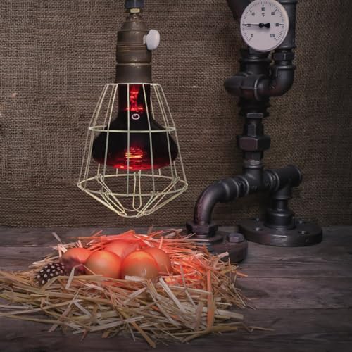 NUOBESTY Vintage Industrial Lamp Bulb Guard Wire Cage Protective Shade for E27 Bulbs Ceiling Light Pendant Lamp Cover 7.24X5.90X5.90In