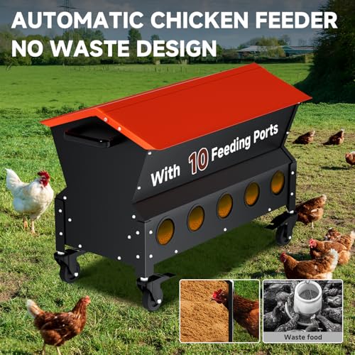 Heavy Duty Chicken Feeder 120 lbs Large Capacity, Metal Automatic Poultry Feeding Box with Waterproof Lid, Raised Standing Feeder with Wheels for Hens & Roosters, Portable & Easy to Move - color: Orange