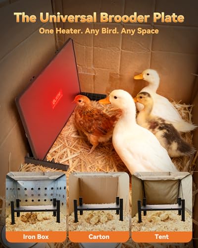 PETNF Chicken Coop Heater & Chick Heat Plate - 11.8x15.8in for Hen Warmth & 10-20 Chicks, 3-Way Adjustable Stand, 95-167°F 140W Efficient Heating, Durable Safe for Brooders/Coops, Farmers & Pet Owners