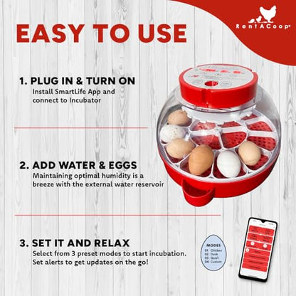 RentACoop 16-Egg Smart Incubator – App Controlled, Auto-Turn, Built in Candling Light Perfect for Chickens, Ducks, and Quail!