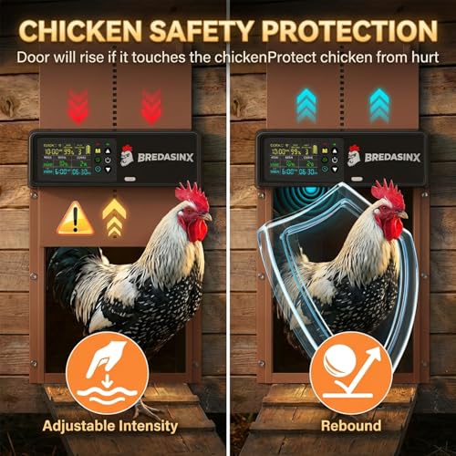 Automatic Chicken Coop Door Solar Powered with HD Screen, Timer & Light Sensor, 5 Modes, Aluminum Alloy, Remote Control Up to 70M - color: Brown