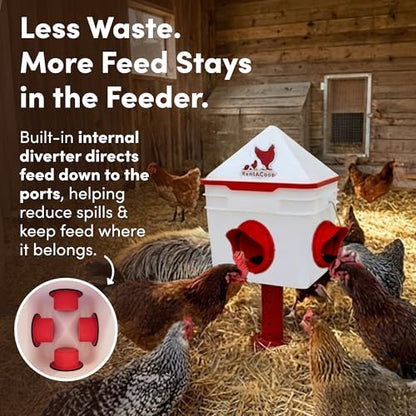 RentACoop Chick2Chicken 10lb Feeder & 2 Gal Waterer Set with Gravity Feed Refill & Auto-Fill Cups, Horizontal Nipples - BPA-Free Food & Water Buckets for Up to 20 Chicks or 12 Adult Chickens - size: Set with Nipples and Auto-Refill Cups