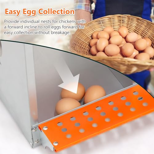 Galvanized Steel Chicken Nesting Box 6 Bay Wall Mounted Predator Proof for Hens and Ducks Easy Egg Collection Vented Design Easy Assemble Orange Coop Equipment (6 Compartment) - size: 31.8"L x 17.0"W x 25.0"H