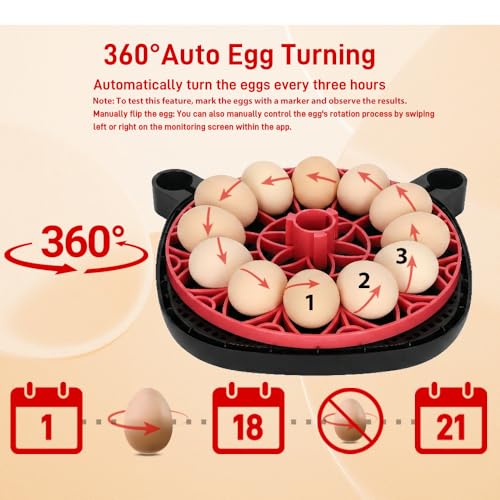 Automatic Egg Incubator for 12 Chicken Eggs with Camera APP Control | Temperature & Humidity Monitor, Auto Egg Turner, Record Life's Birth Moments for Chicken Duck Quail Pigeons