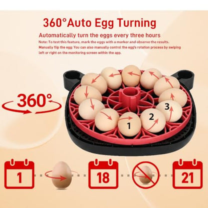 Automatic Egg Incubator for 12 Chicken Eggs with Camera APP Control | Temperature & Humidity Monitor, Auto Egg Turner, Record Life's Birth Moments for Chicken Duck Quail Pigeons