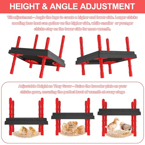 Chick Brooder Heating Plate with Anti Stand Cone, Adjustable Height Brooder Heater for Chicks, Downward Heat Distribution for Outdoor Barns & Coops (12" x 12" Black) - size: 12" x 12"