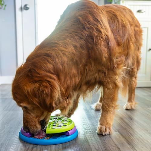 Outward Hound by Nina Ottosson Lickin’ Layers 3-in-1 Interactive Dog Feeder Puzzle, Lick Mat & Slow Feeder Bowl - Mental Stimulation Toy for Medium & Large Dogs, 2 Cup Capacity, 10.4 in x 2.8 in - color: Lickin Layers (Green, Purple, Blue)