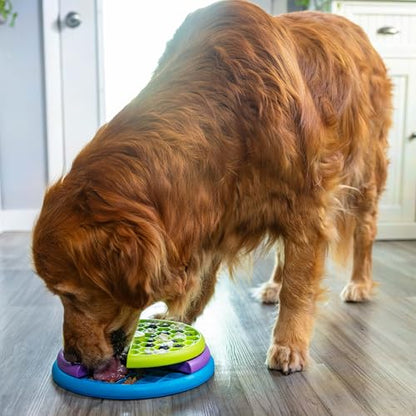 Outward Hound by Nina Ottosson Lickin’ Layers 3-in-1 Interactive Dog Feeder Puzzle, Lick Mat & Slow Feeder Bowl - Mental Stimulation Toy for Medium & Large Dogs, 2 Cup Capacity, 10.4 in x 2.8 in - color: Lickin Layers (Green, Purple, Blue)