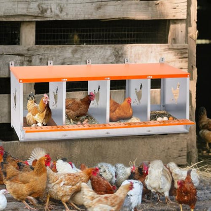Galvanized Steel Chicken Nesting Box 4 Bay Wall Mounted Predator Proof for Hens and Ducks Easy Egg Collection Vented Design Easy Assemble Orange Coop Equipment (4 Compartment) - size: 42.5"L x 17.0"W x 15.0"H