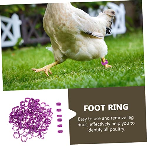 ibasenice Adjustable Chicken Leg Bands Numbers 1-100 Poultry Identification Rings Plastic Bird Foot Marking Tools for Pigeons and Chickens