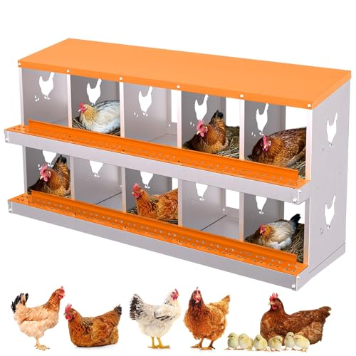 10 Compartment Chicken Nesting Box, Galvanized Steel Metal Laying Box with Removable Tray Roll-Out Egg Collection, Wall Mount Hen Roosting Box, Easy Egg Collection - color: Orange, size: 10 holes