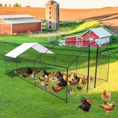 19.7'L x 9.8'W x 6.6'H Large Metal Chicken Coop Walk-in Chicken Runs Poultry Cage House Chicken Pen for Outdoor with Waterproof and Anti-Ultraviolet Cover - size: 19.7'L x 9.8'W x 6.6'H