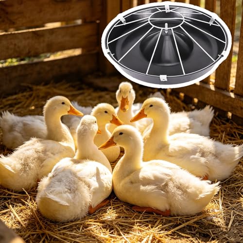 Round Livestock Feed Trough for Duck, Chicken, No Waste Outdoor/Indoor Piglet Feeder, Pasture Poultry Water Bowl Container, Easy to Install(Single Rack,63cm/24.8"(12 Slots)) - color: Single Rack, size: 63cm/24.8"(12 Slots)
