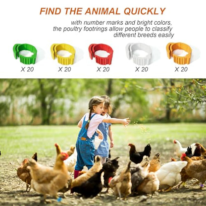 16mm 100 Pcs Adjustable Poultry Leg Bands,Chicken Leg Rings,Duck Leg Bands,5 Colors Laser Engraved Clip Rings for Large Poultry Chicken,Duck,Turkey,Goose Gamefowl Turkey