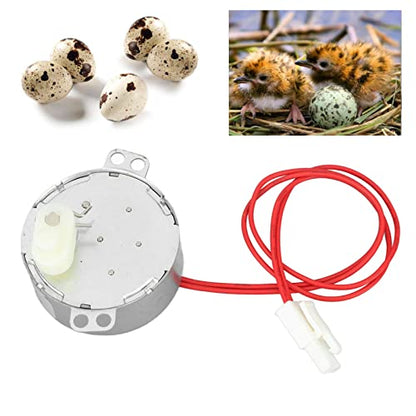 Egg Turner Motor Incubator Motor Aluminum Electric Synchron 4W (12v)