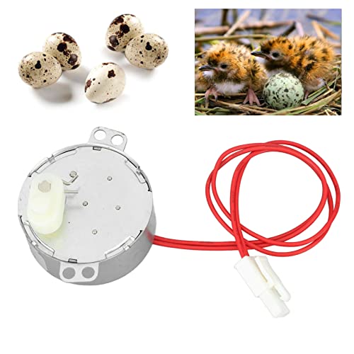 Egg Turner Motor, Low Power Dissipation Stable Performance Stable Performance Incubator Motor Replacement for Home Use for Chicken Egg Hatching